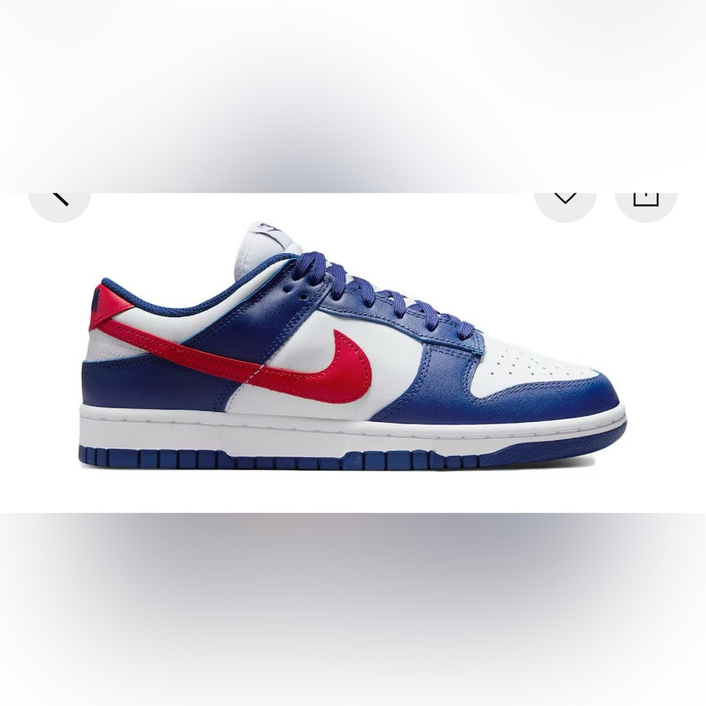 Nike Dunk USA women’s